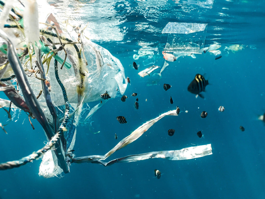Ten ways the hospitality industry can reduce plastic waste & why? - Dot & Lola