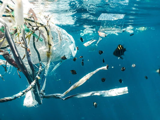 Ten ways the hospitality industry can reduce plastic waste & why? - Dot & Lola